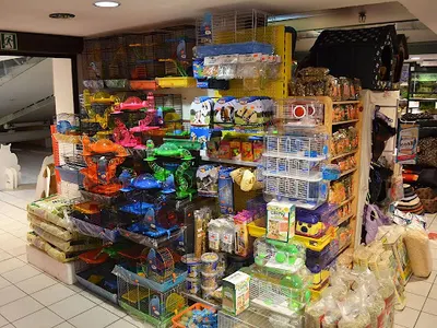 Zoolandia - sklep zoologiczny - Forum Koszalin